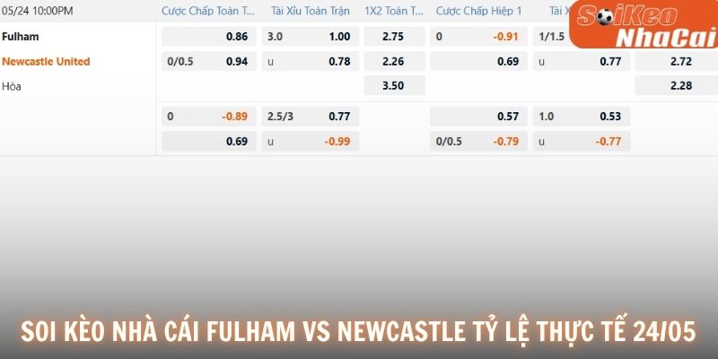 Soi kèo nhà cái Fulham vs Newcastle tỷ lệ thực tế 24/05