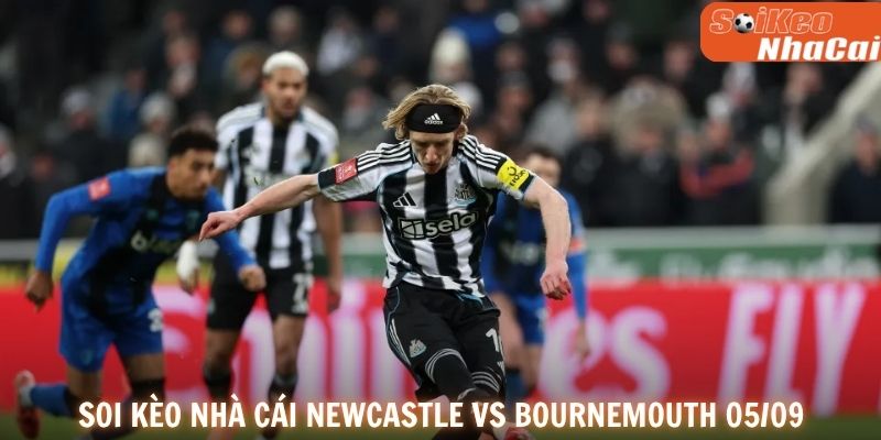 Soi kèo nhà cái Newcastle vs Bournemouth 05/09