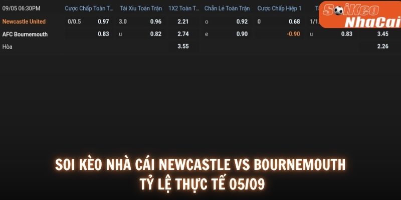 Soi kèo nhà cái Newcastle vs Bournemouth 05/09